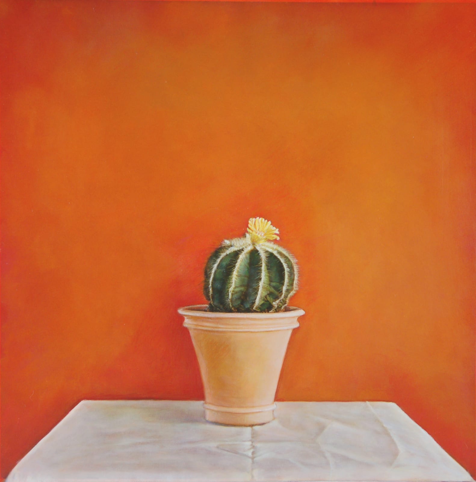Kate Breakey, Cactus XX, n.d.