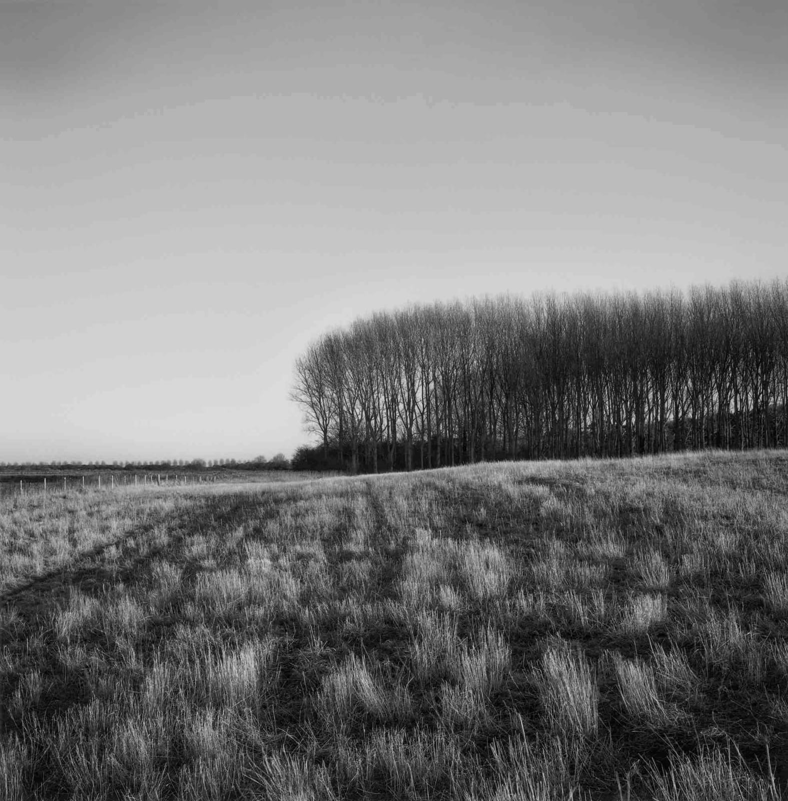 Paul Hart, November V, 2020-2024