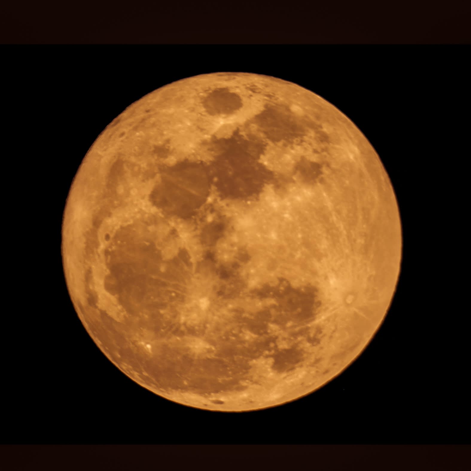 Kate Breakey, Full Moon, n.d.