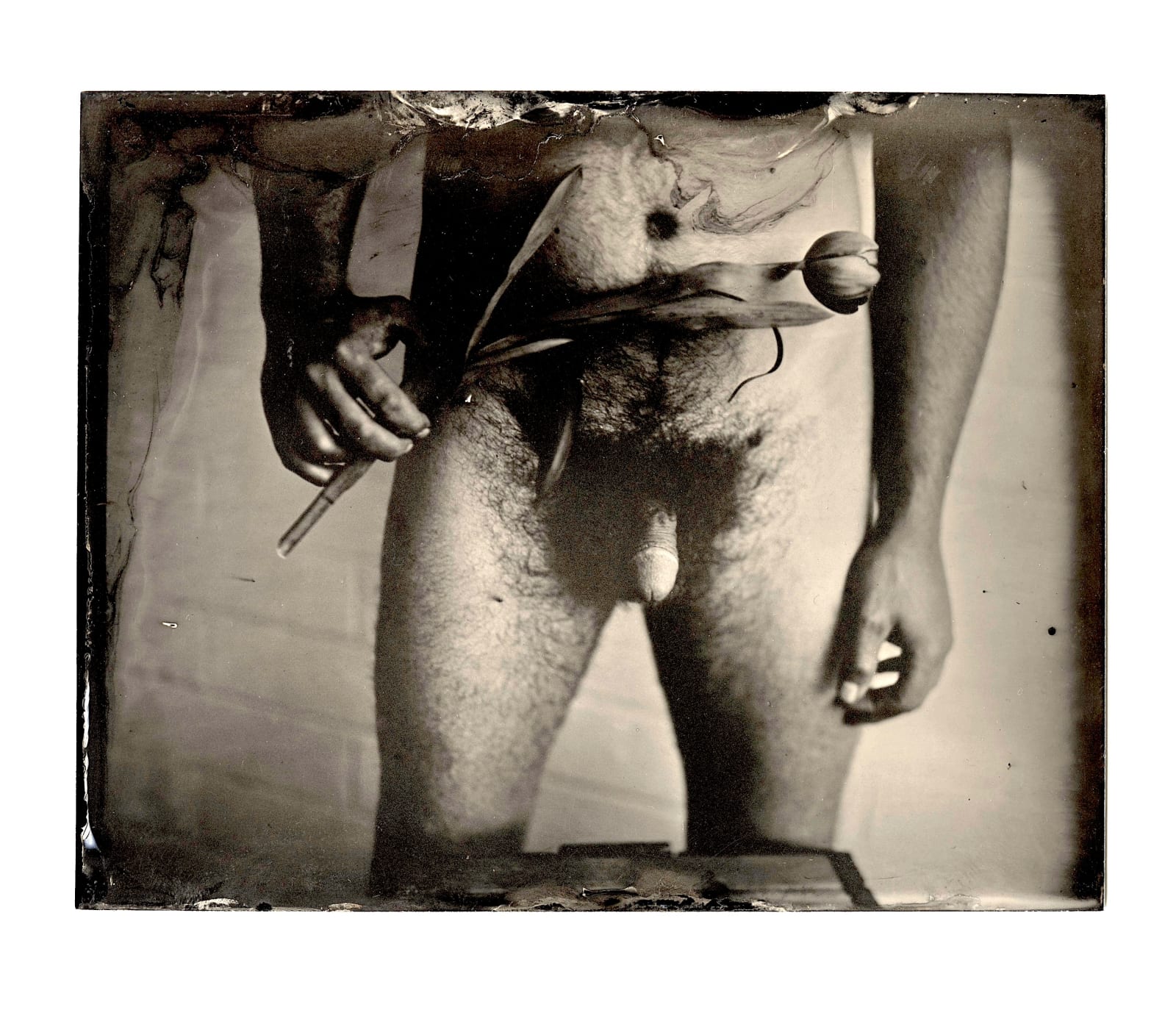 Palmira Miro Gutierrez , Rob, n.d.