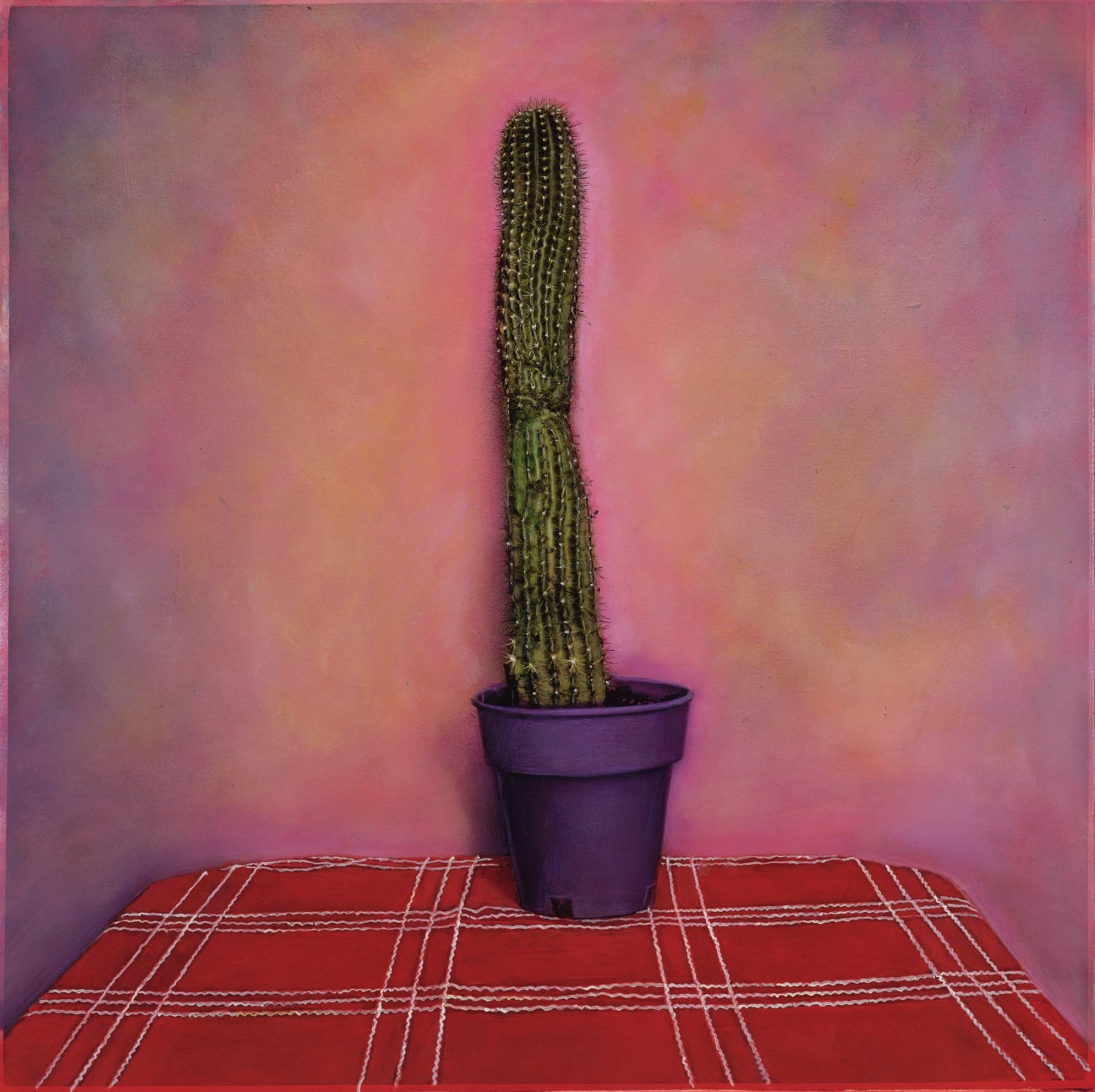Kate Breakey, Cactus XII, n.d.
