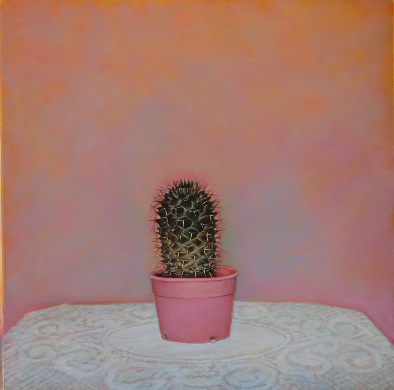 Kate Breakey, Cactus XI, n.d.