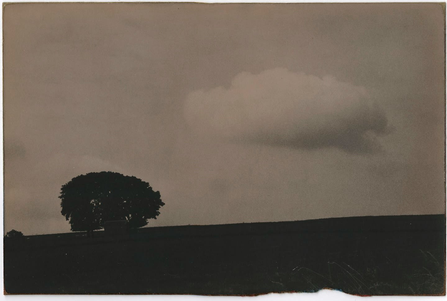Masao Yamamoto, #843, from Nakazora, n.d.