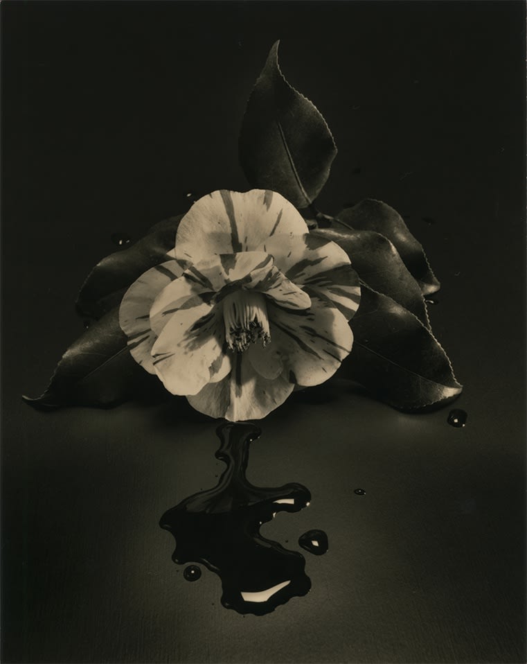 Yamamoto Masao, Tomosu #6000