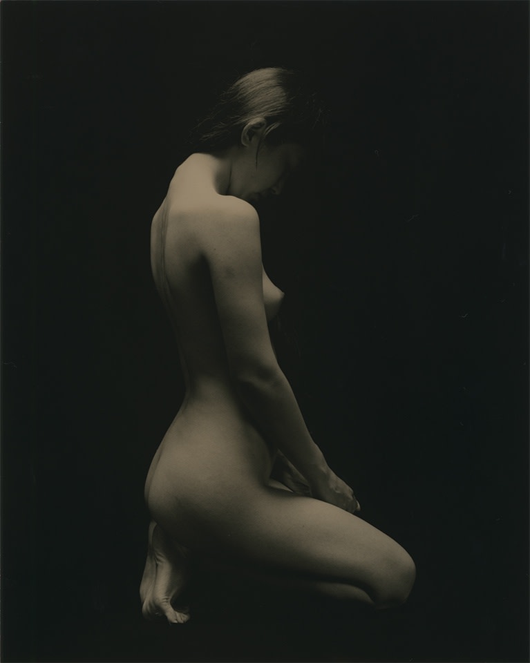 Yamamoto Masao, Tomosu #6005