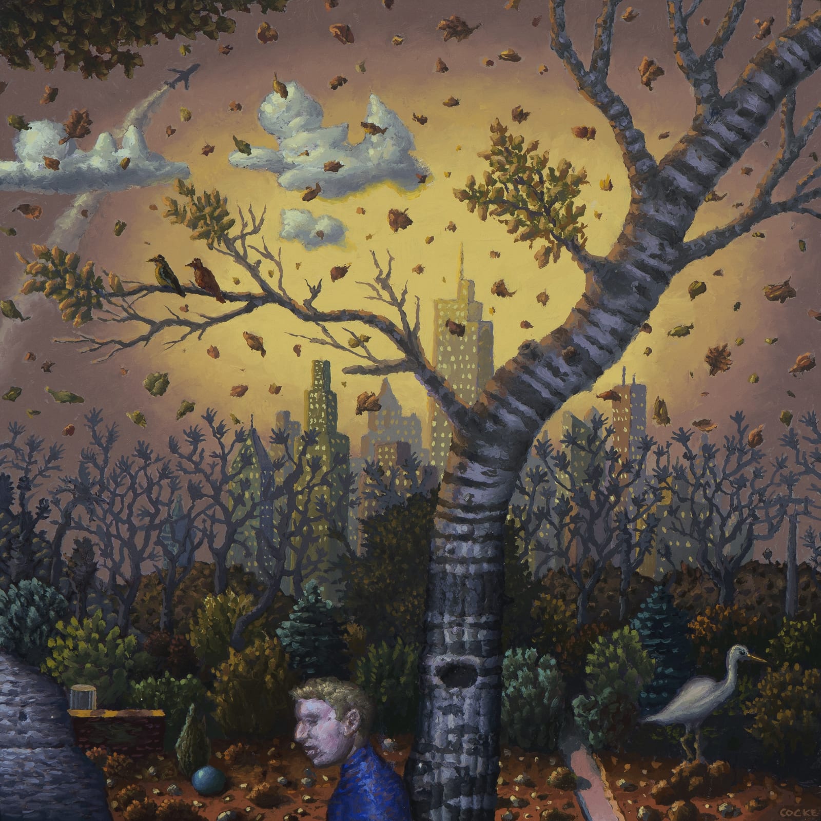 Robert D. Cocke, Park, 2014