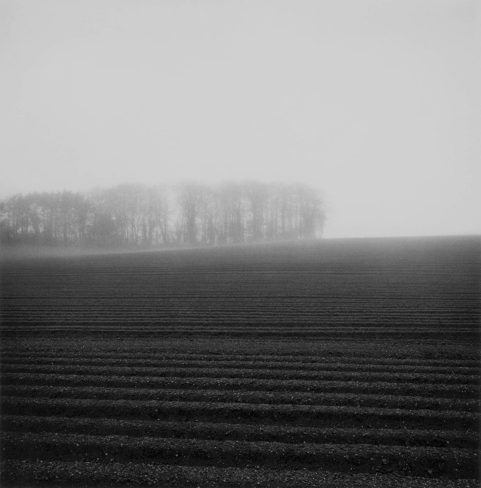 Paul Hart, April I, 2020-2024