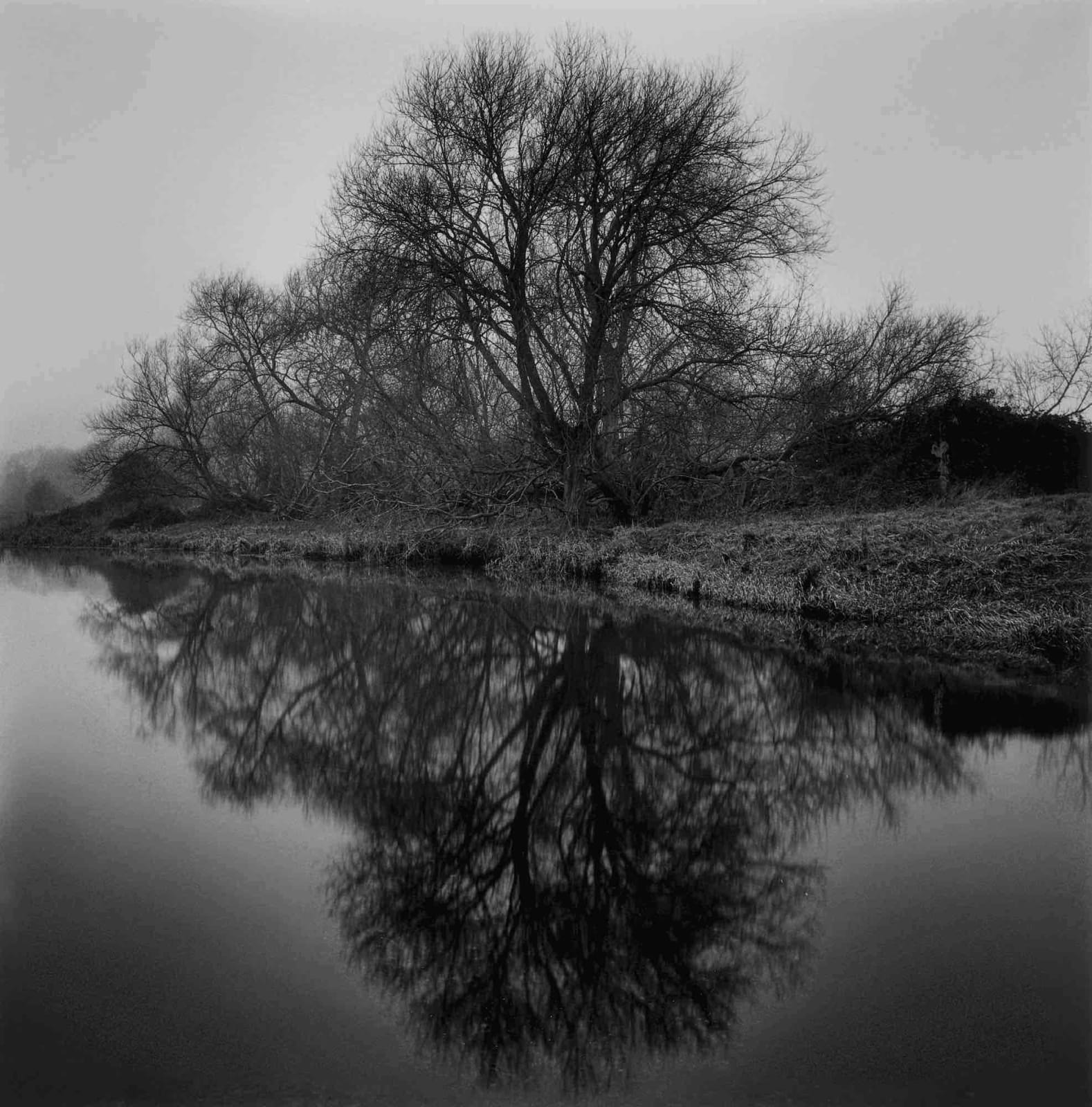 Paul Hart, March III, 2020-2024