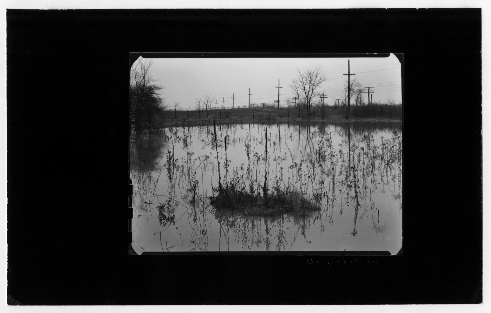 Harry Callahan, Detroit (marshland), 1941