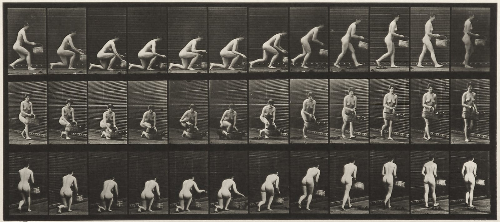 Eadweard Muybridge, Plate 251 from 