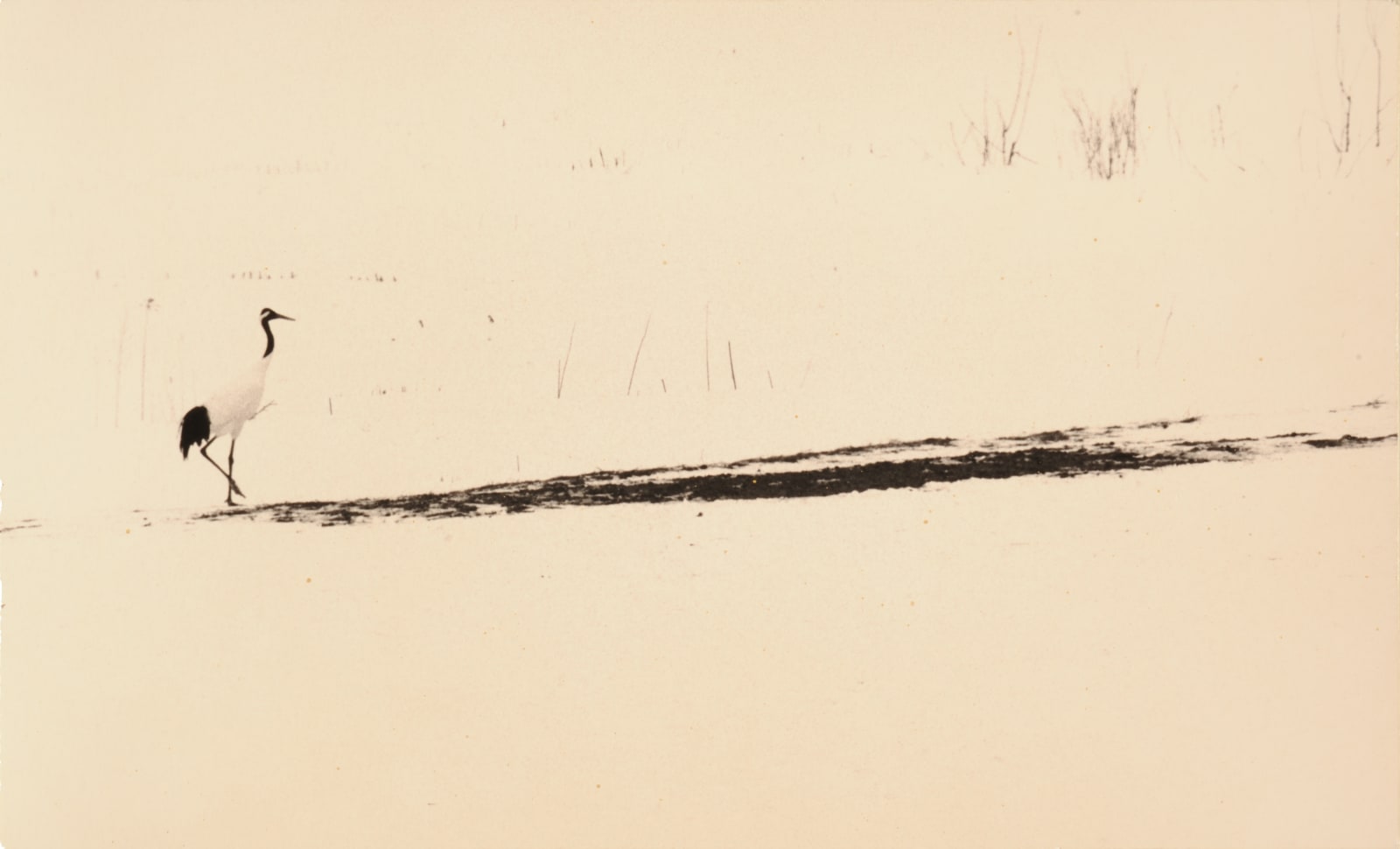 Masao Yamamoto, #1678, from Kawa = Flow, 2016