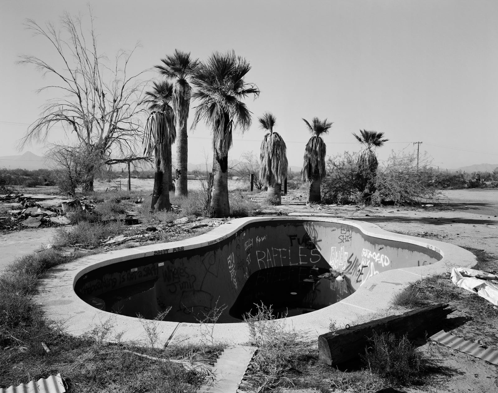 Michael P. Berman, Pool and Palms, Gila Bend