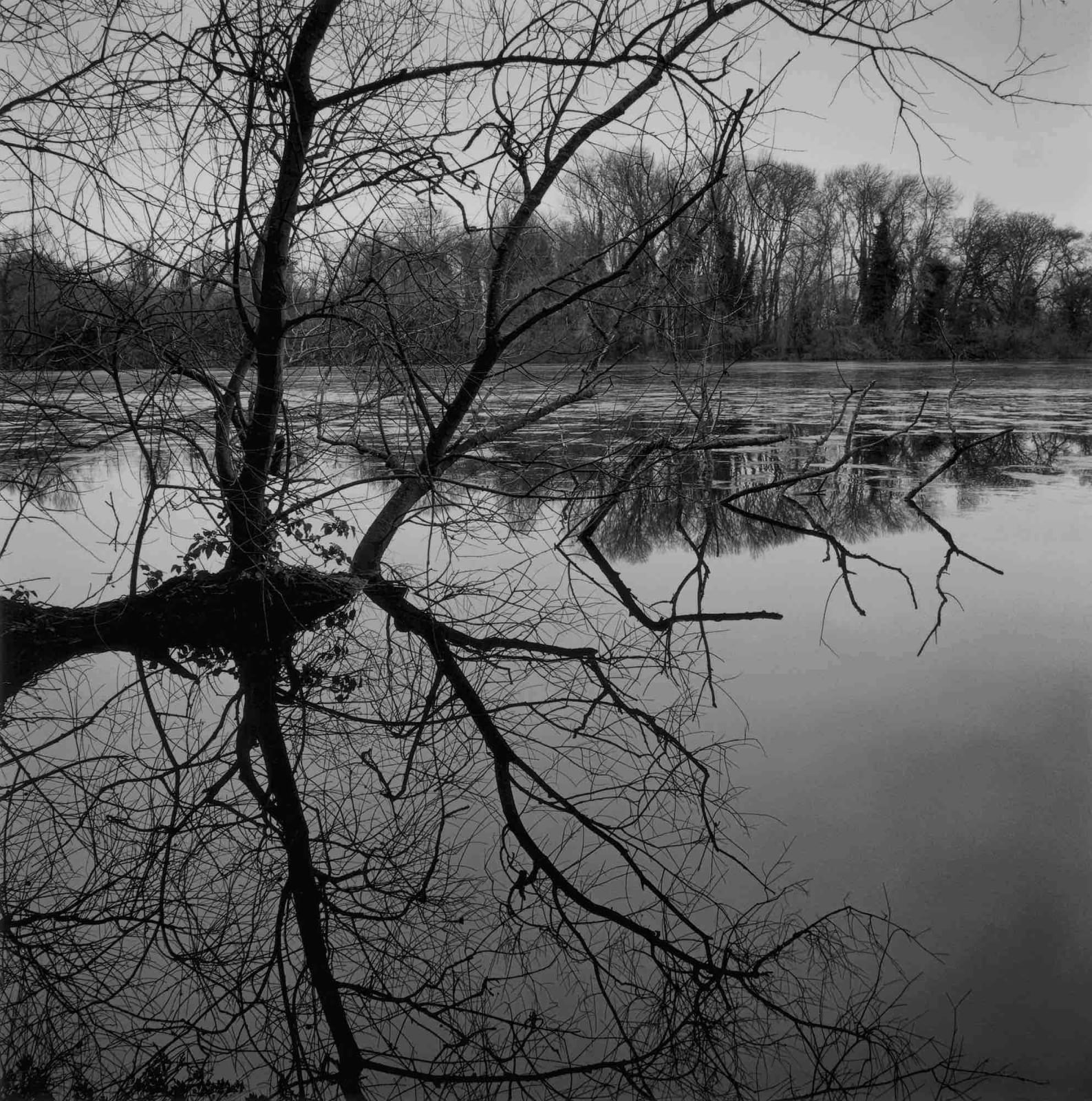 Paul Hart, January V, 2020-2024