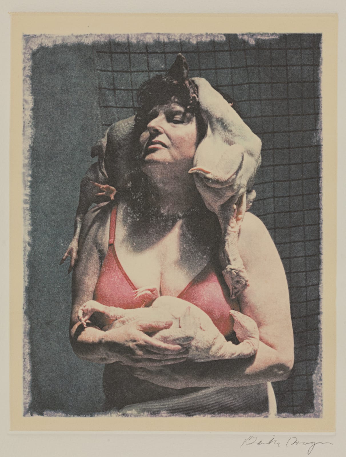 Bailey Doogan, Jill II, 2013