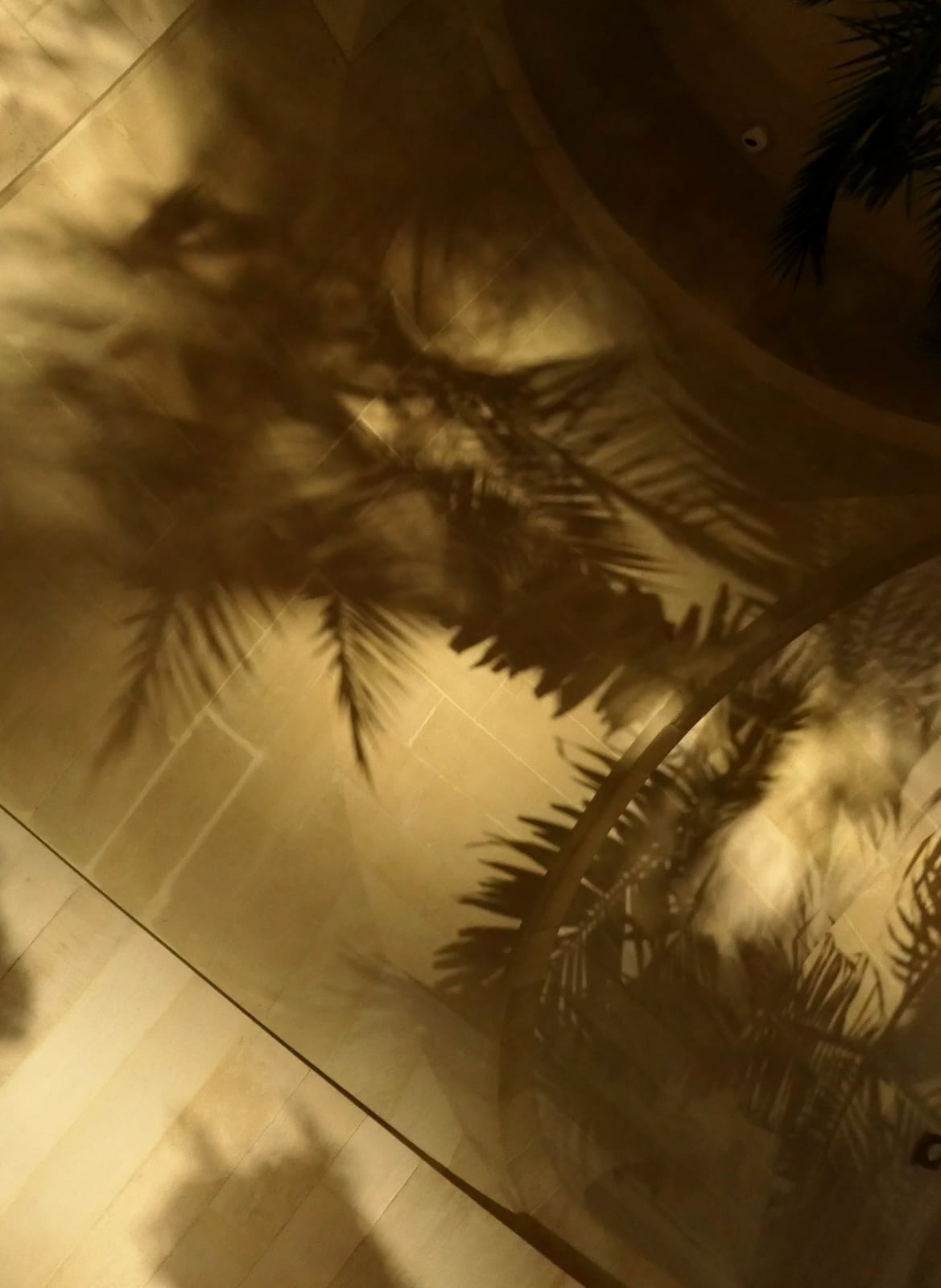 CoCo Palais Garnier, Paris, 2020
