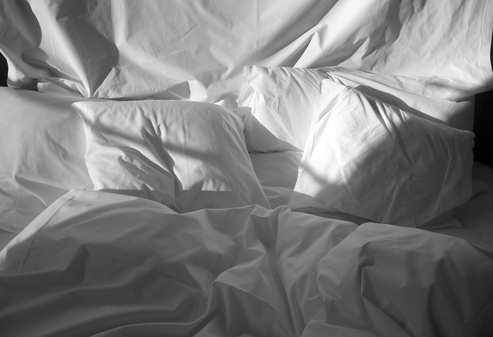 Winter Sun. Das Triest. Vienna, 2005