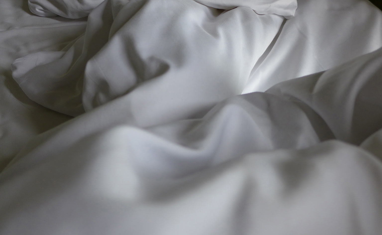 Dunes. Villa Valkenburg. Valkenburg, 2017