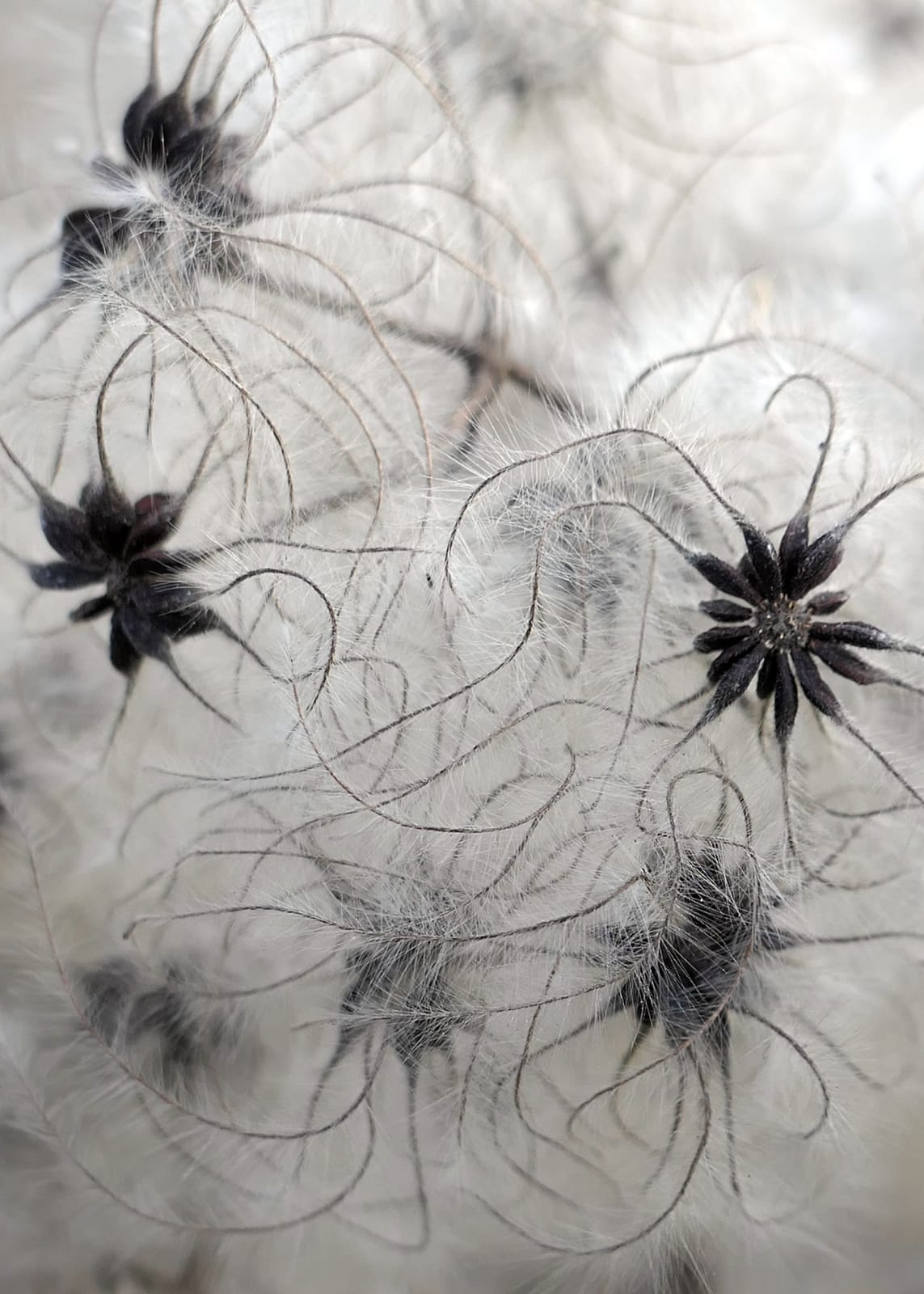 Weird. February, 2022