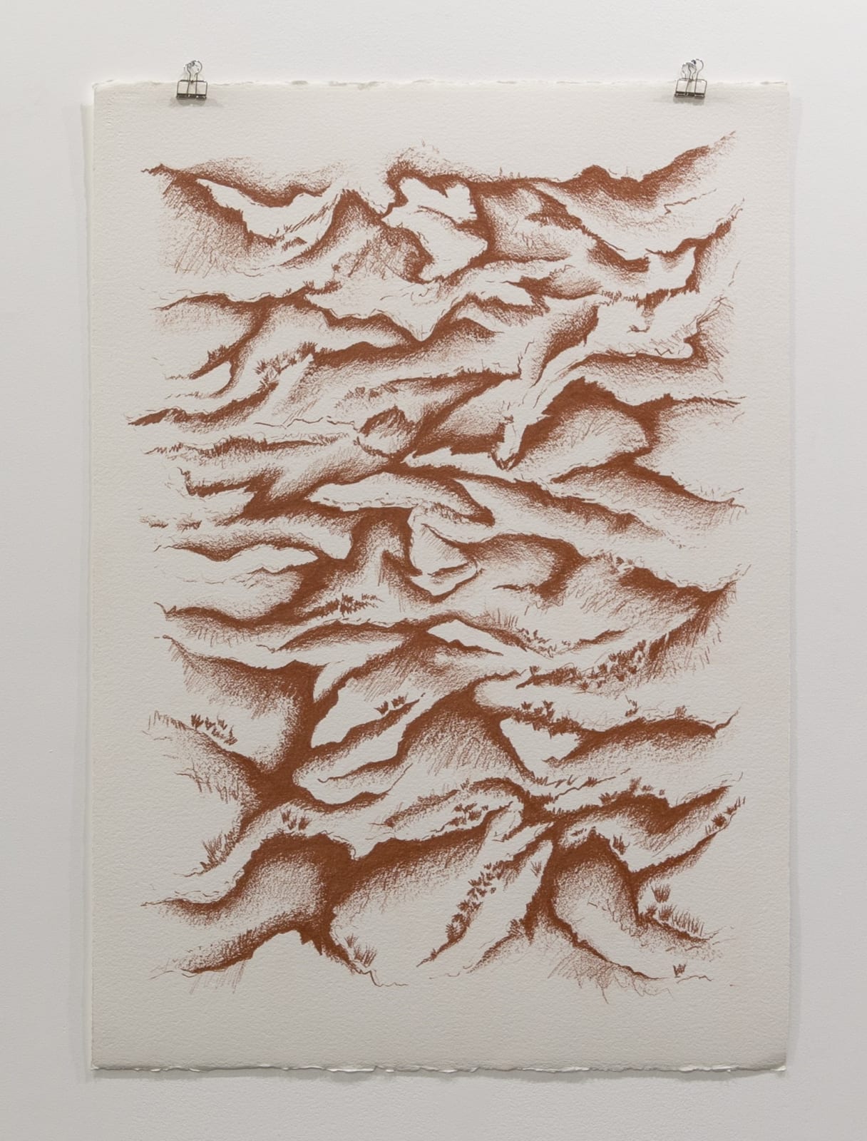 Raya Kassisieh, Red succulent love between hard rock mountain terrain, 2022, Sanguine lead oil on cold pressed paper, 107x75cm