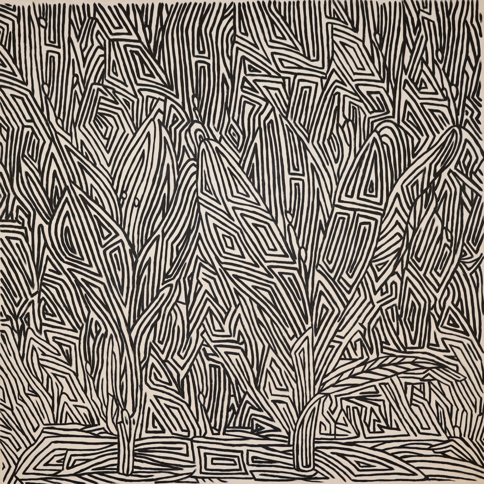 Yassir Al Omari, Plant3, 2024, Acrylic on canvas, 127x127cm