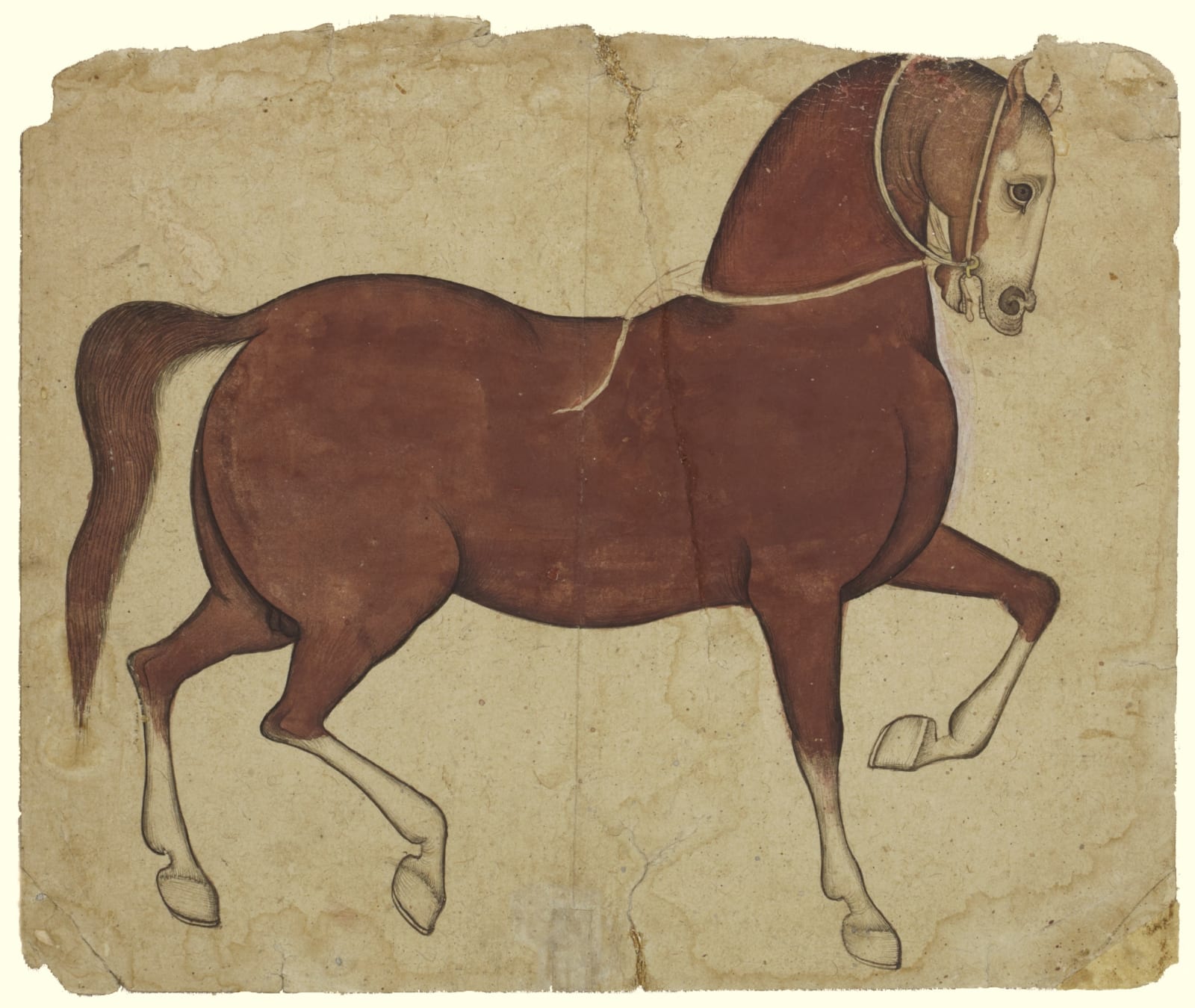A Marwari Horse, Jodhpur, early 19th century