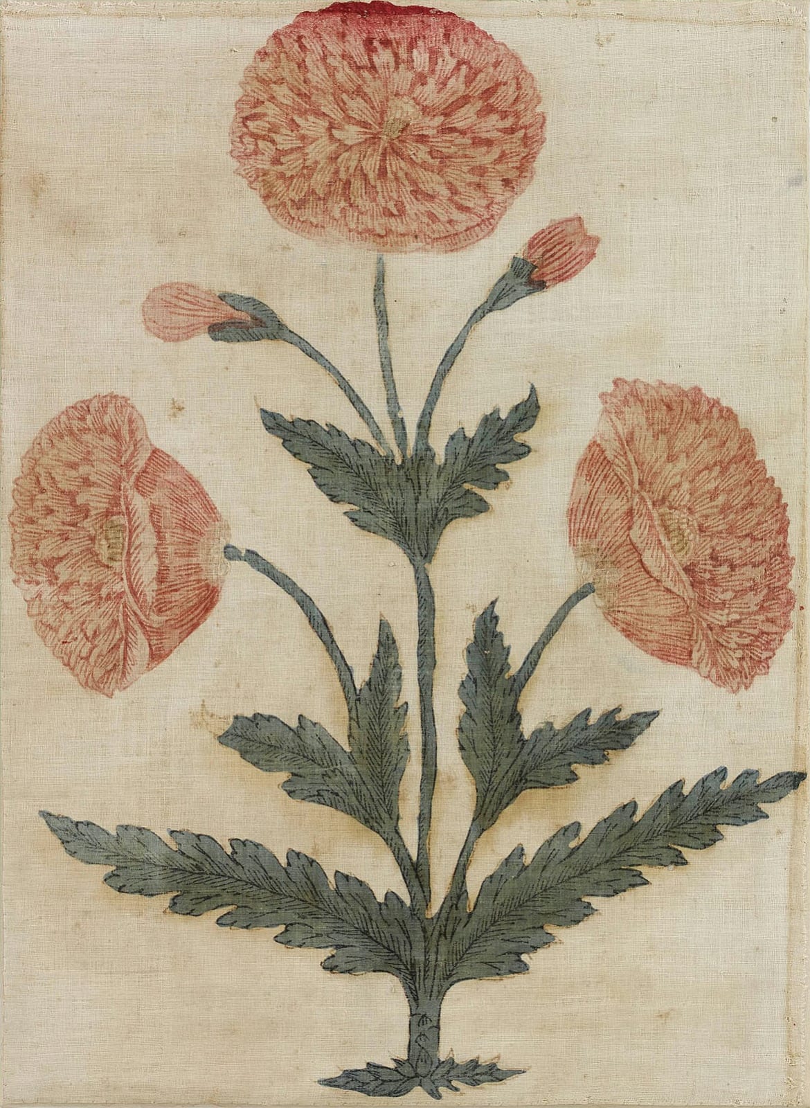 Mughal Poppy Plant, India, probably Burnhanpur, late 17th or early 18th century