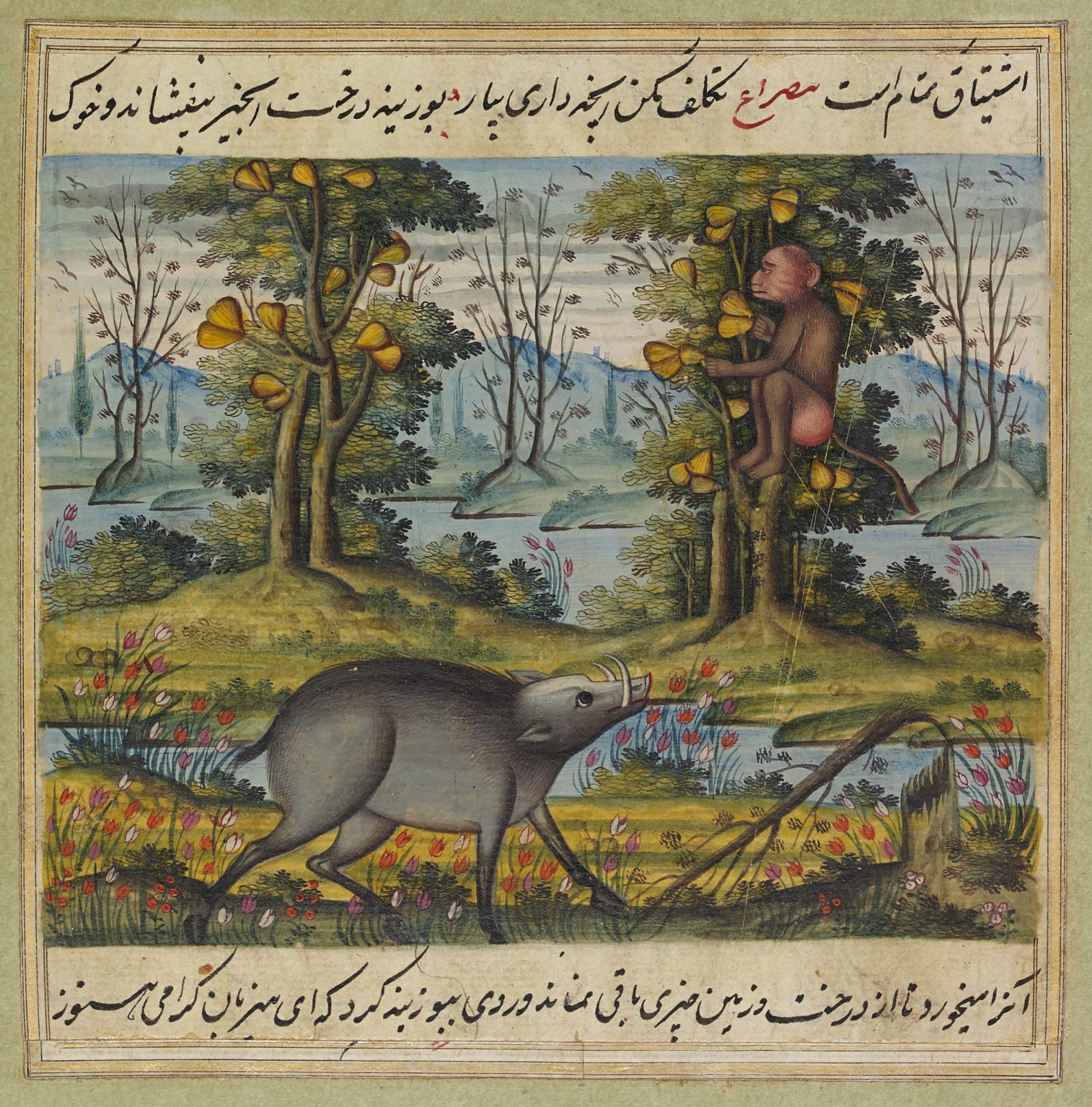 The wild boar seizes the monkey’s fruit, from the Anvar-i Suhayli, Iran, c. 1825