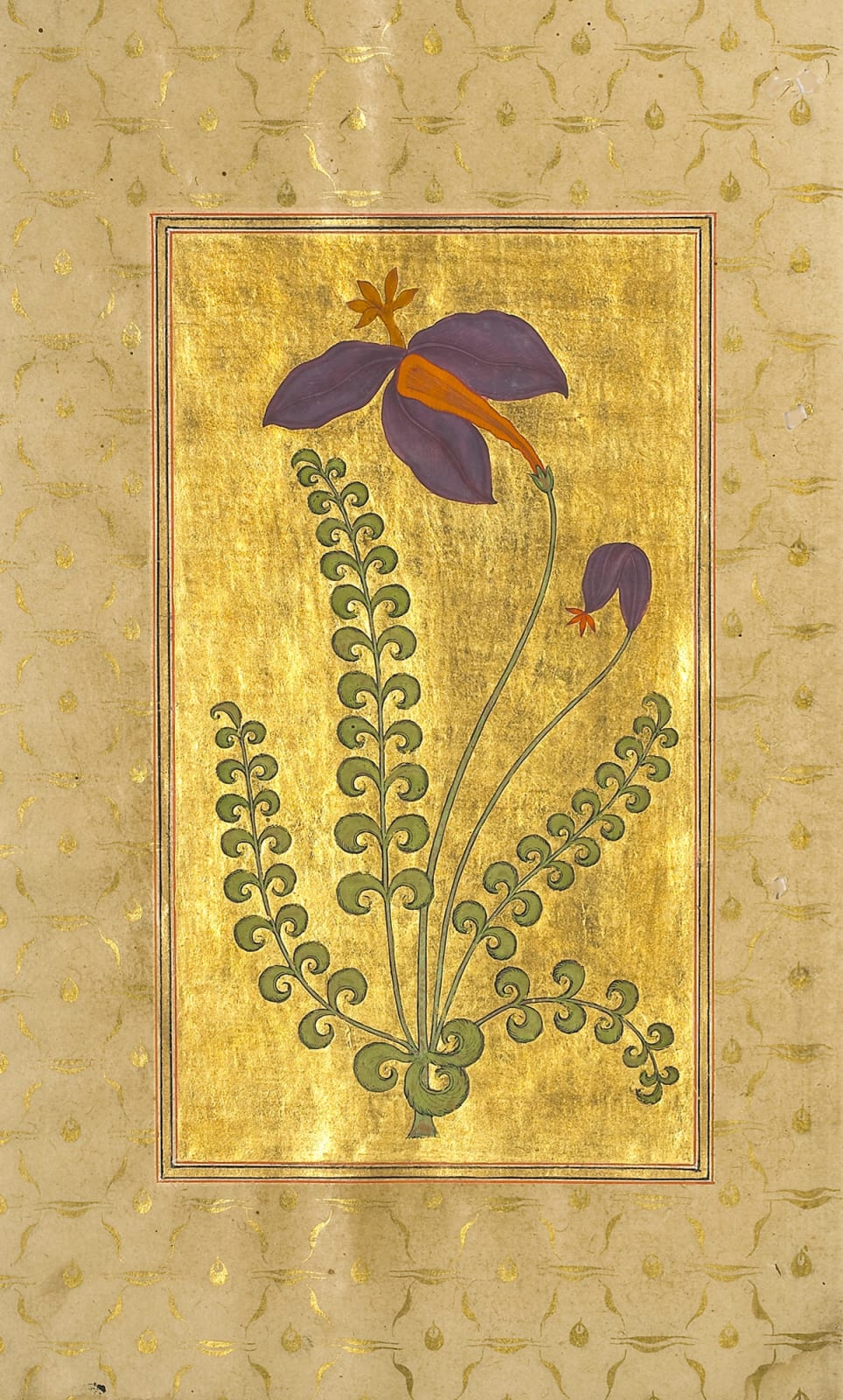 Study of an imaginary Flower, India, Deccan, Aurangabad, dated VS 1726/ 1669 AD