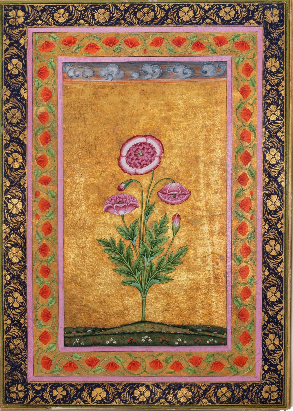 Poppy on a gold ground