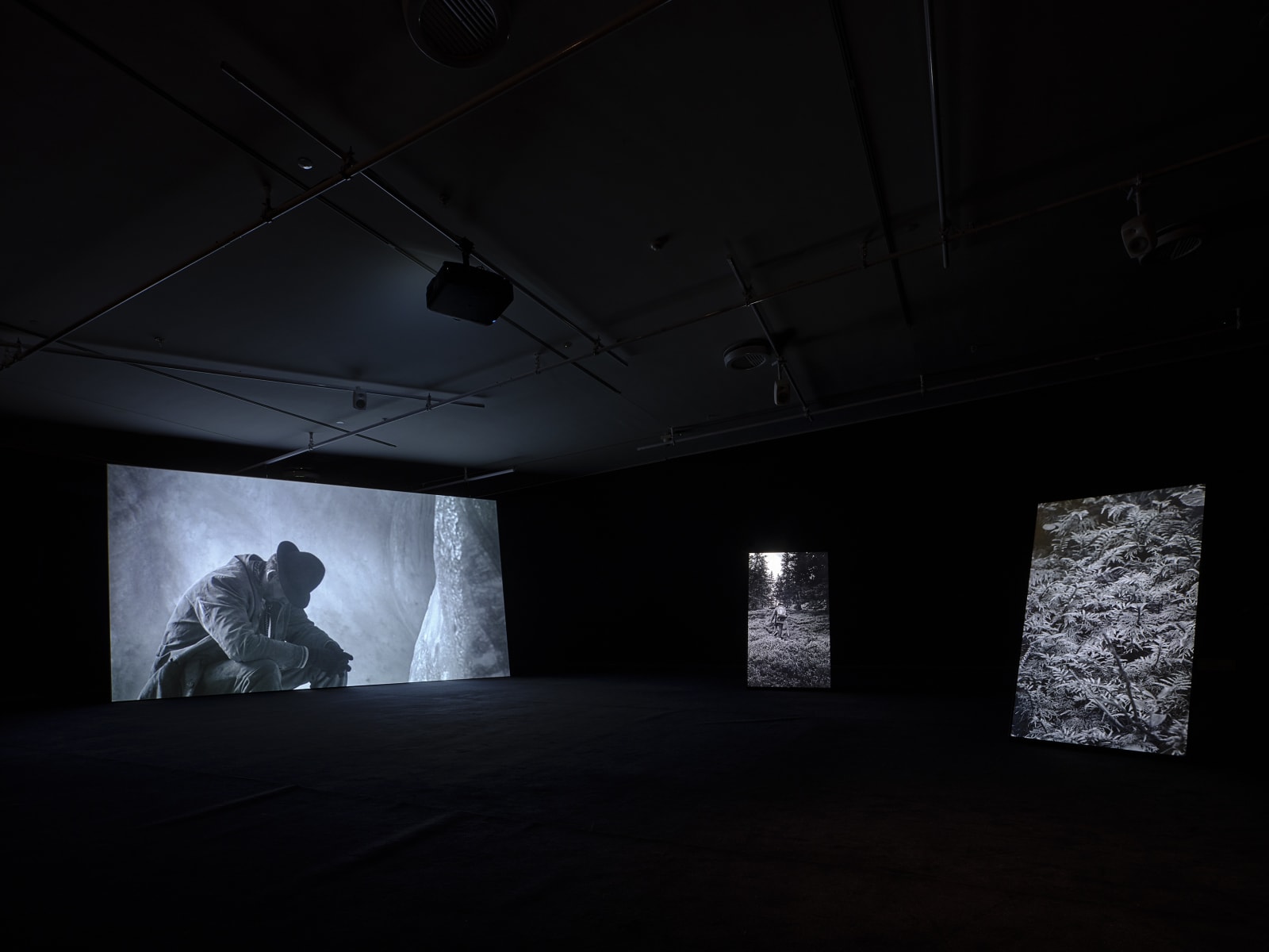 Fiona Tan, Footsteps, 2022, exhibition Fiona Tan, Mountains and Molehills, Eye Filmmuseum Amsterdam, 2022 Photo: Studio Hans Wilschut Courtesy Frith Street Gallery, London.