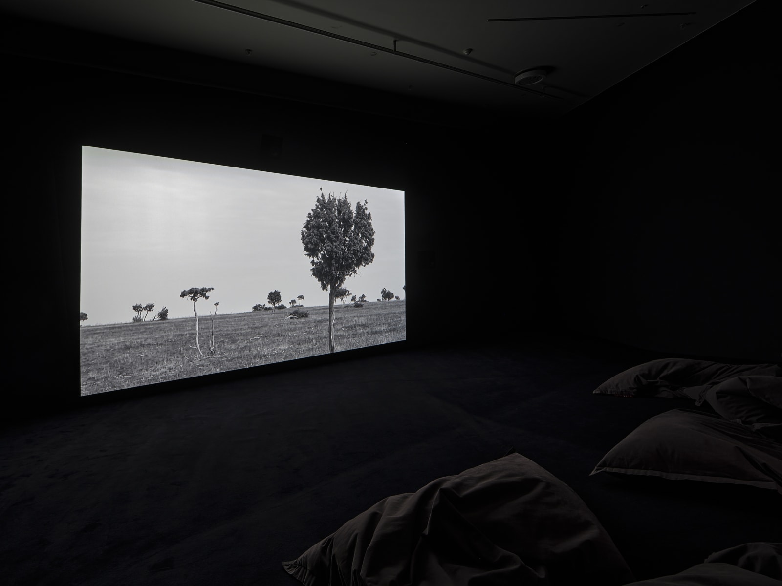 Fiona Tan, Footsteps, 2022, exhibition Fiona Tan, Mountains and Molehills, Eye Filmmuseum Amsterdam, 2022 Photo: Studio Hans Wilschut Courtesy Frith Street Gallery, London.
