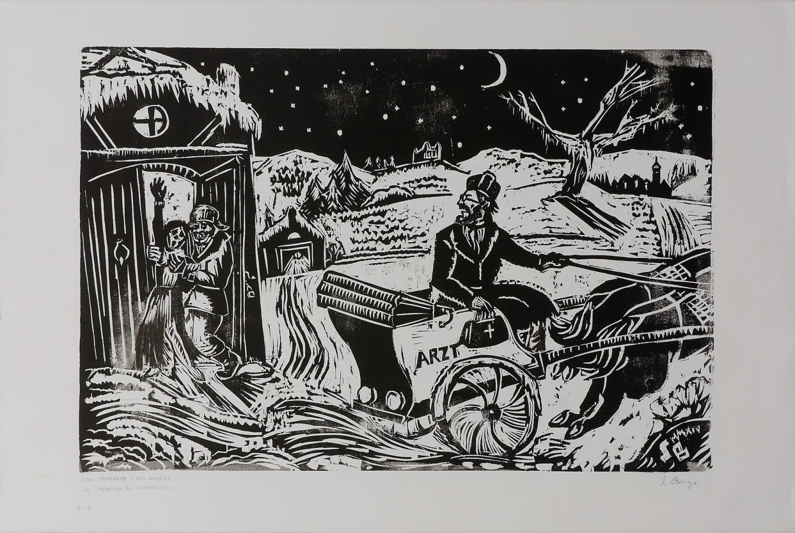 Sergio BIRGA, Un médecin de campagne, 2014