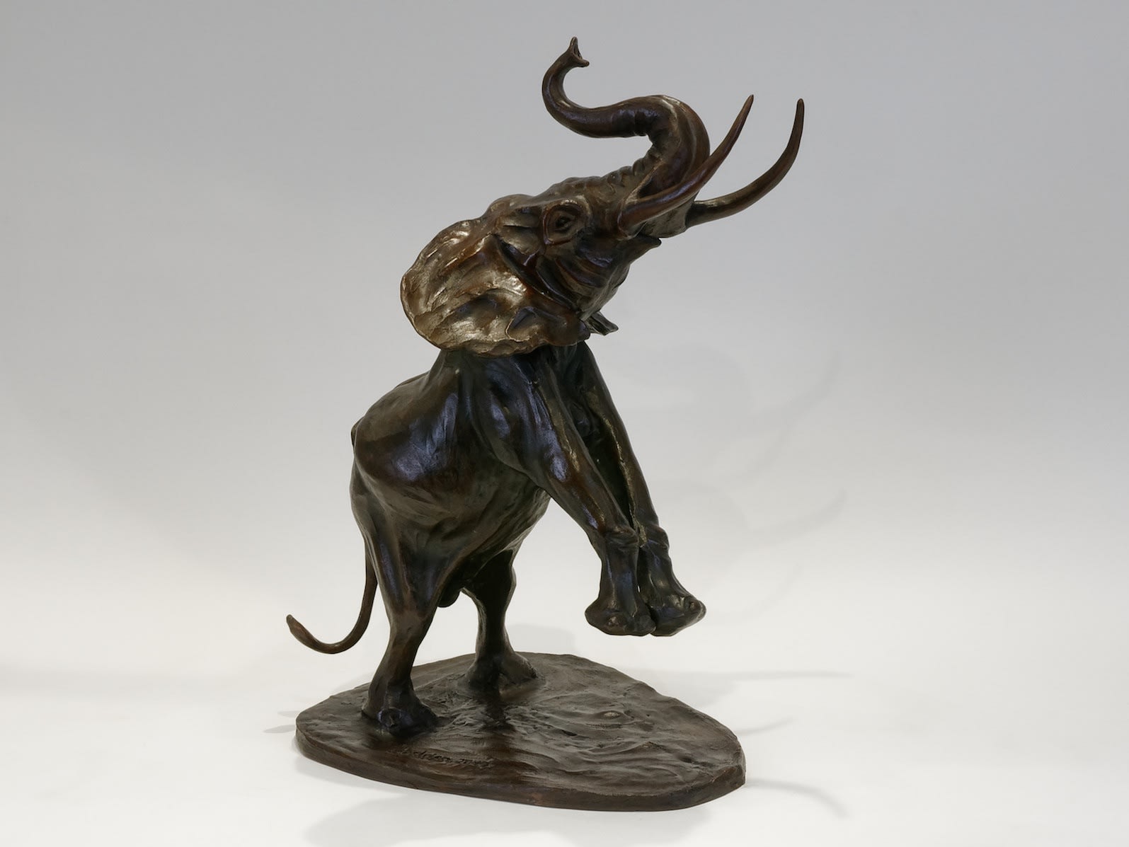 Hadrien DAVID, L'éléphant africain, dit 