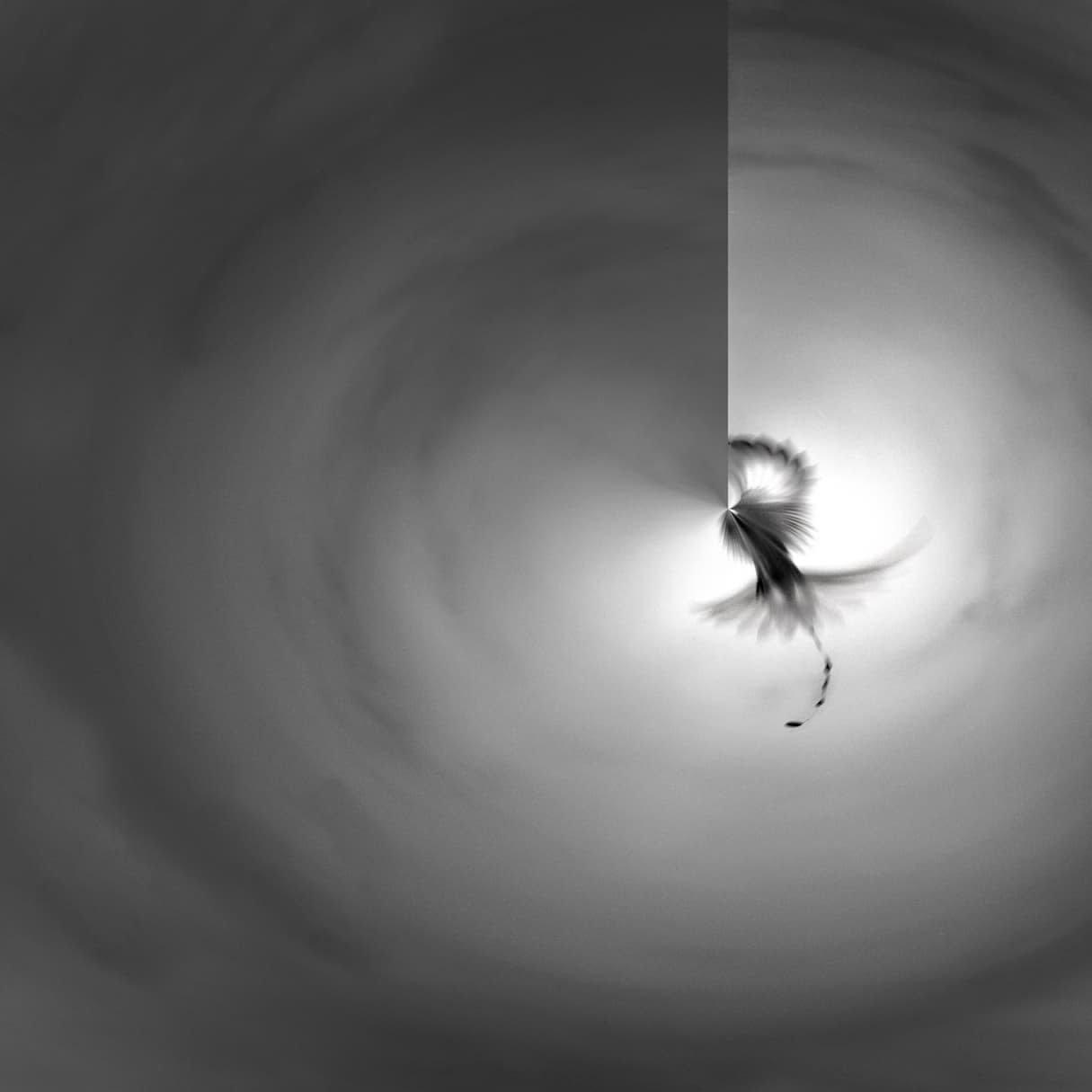 Michel KIRCH, Le 5ème jour