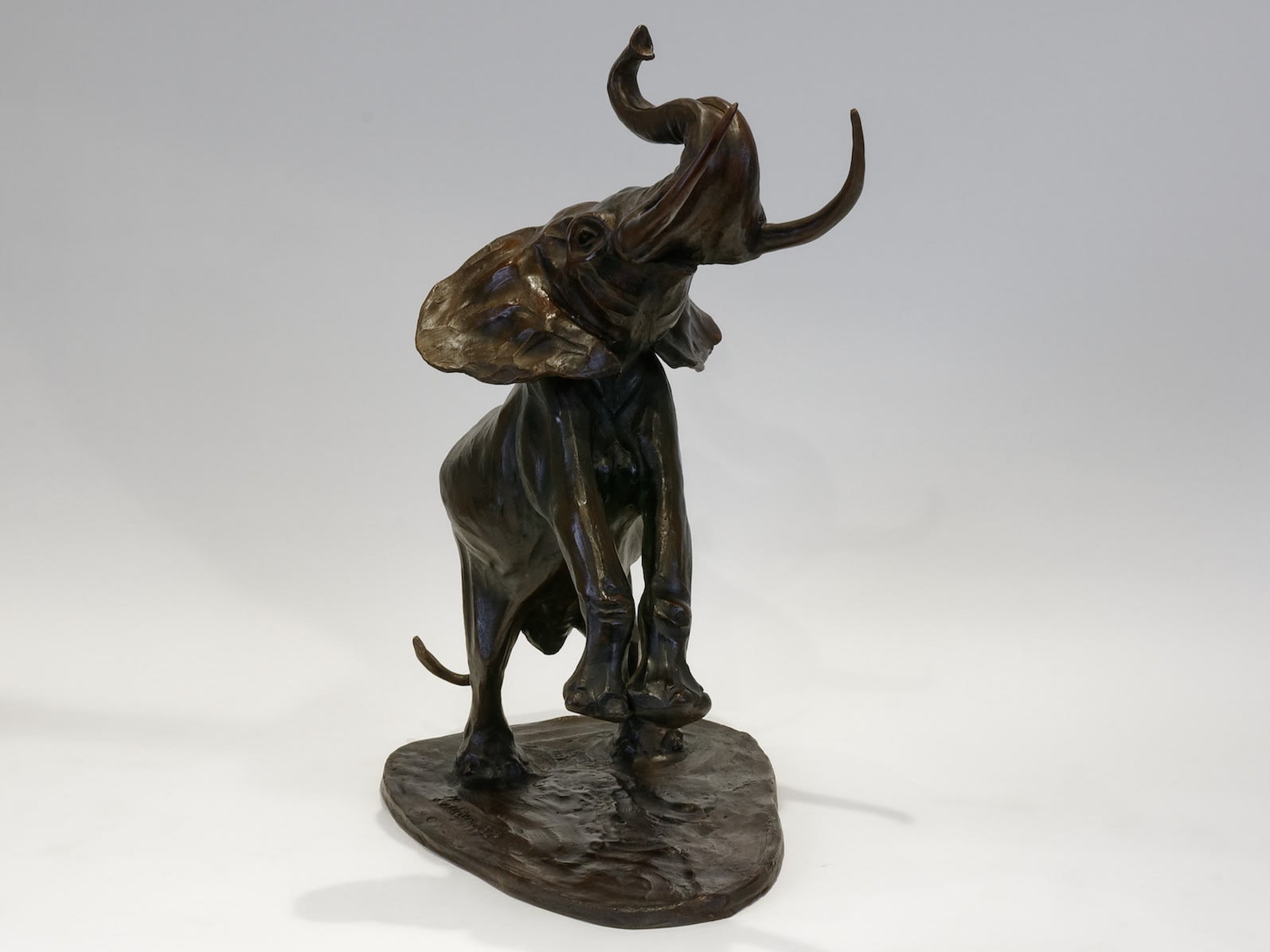 Hadrien DAVID, L'éléphant africain, dit 