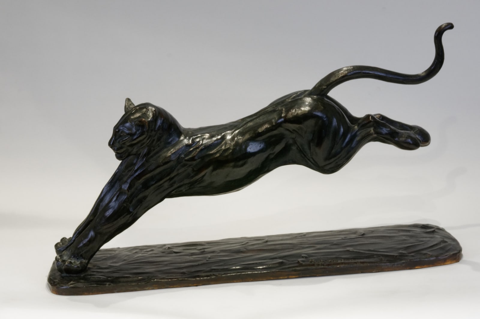 Hadrien DAVID, Le jaguar, dit 