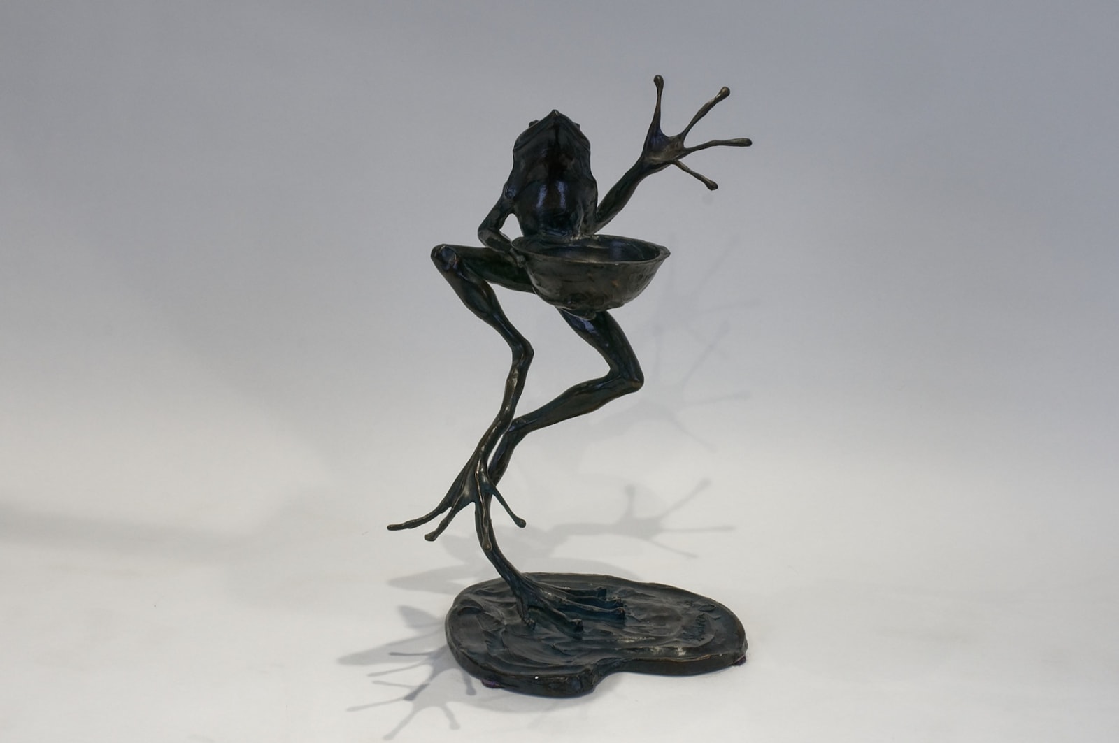 Hadrien DAVID, La grenouille chambellan