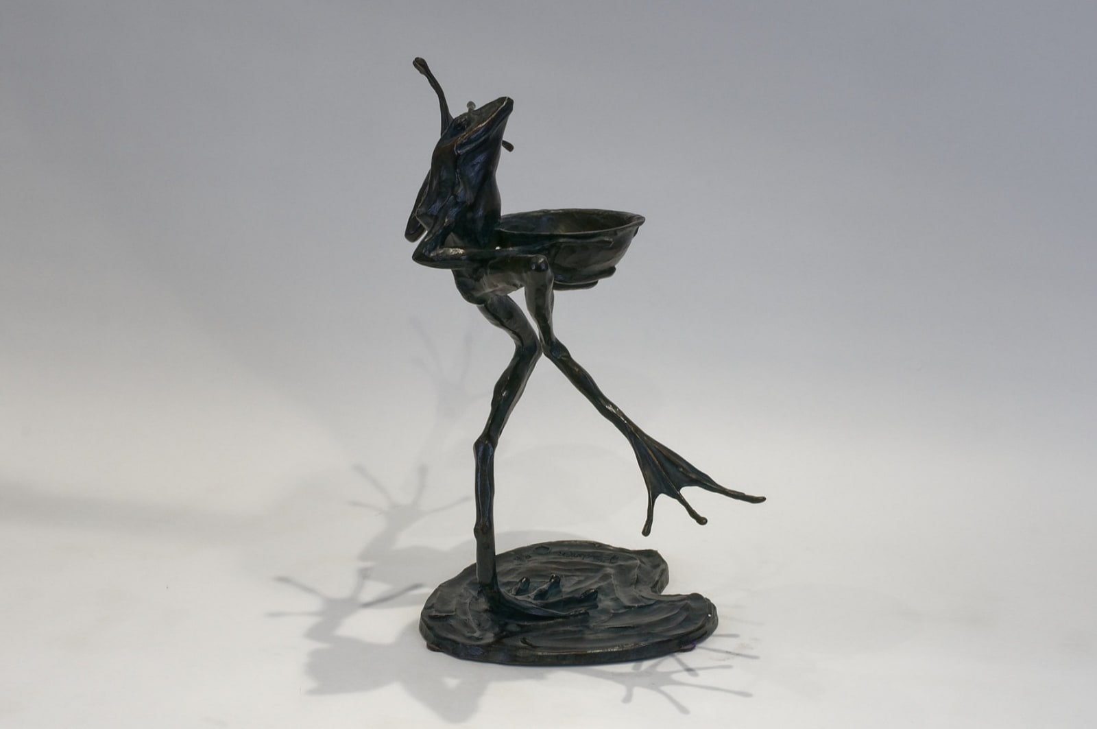 Hadrien DAVID, La grenouille chambellan