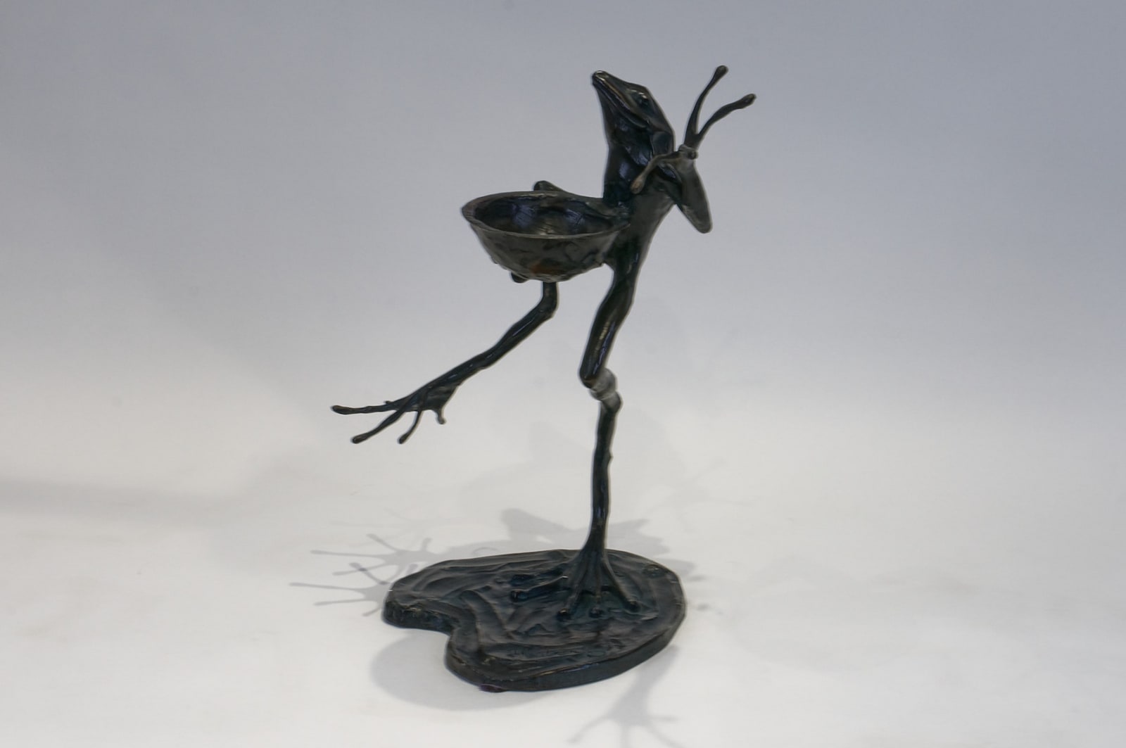 Hadrien DAVID, La grenouille chambellan