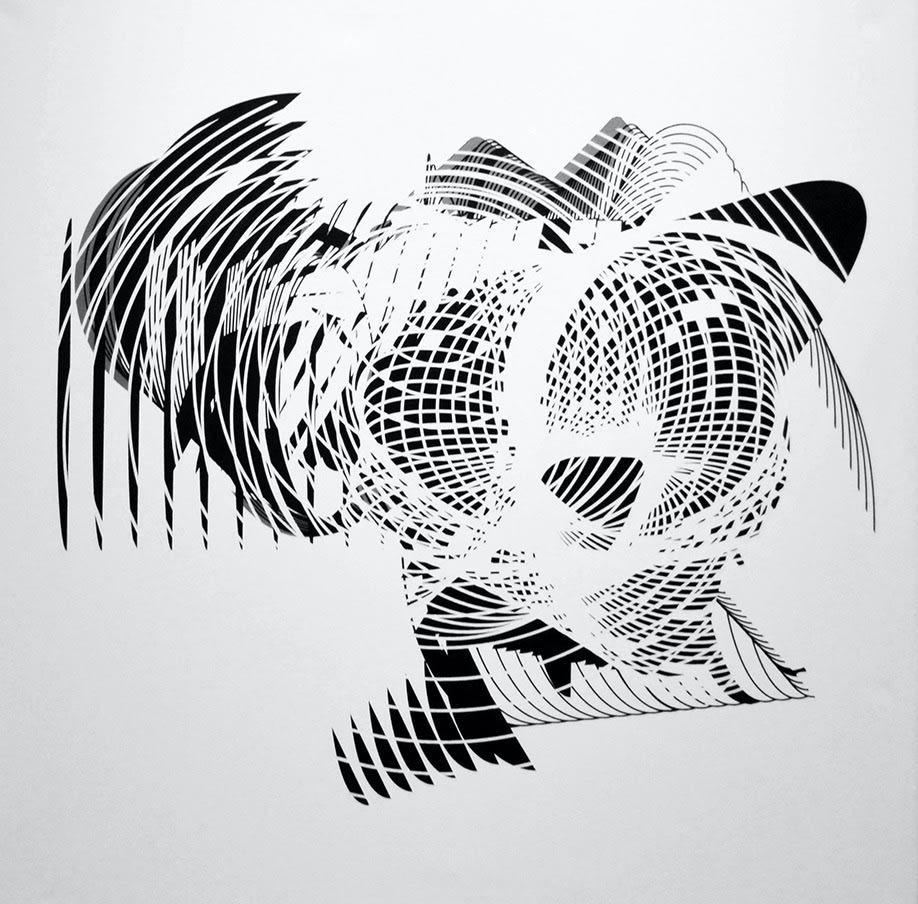 Mariana Villafañe, Paisajes Audibles #1, 2016