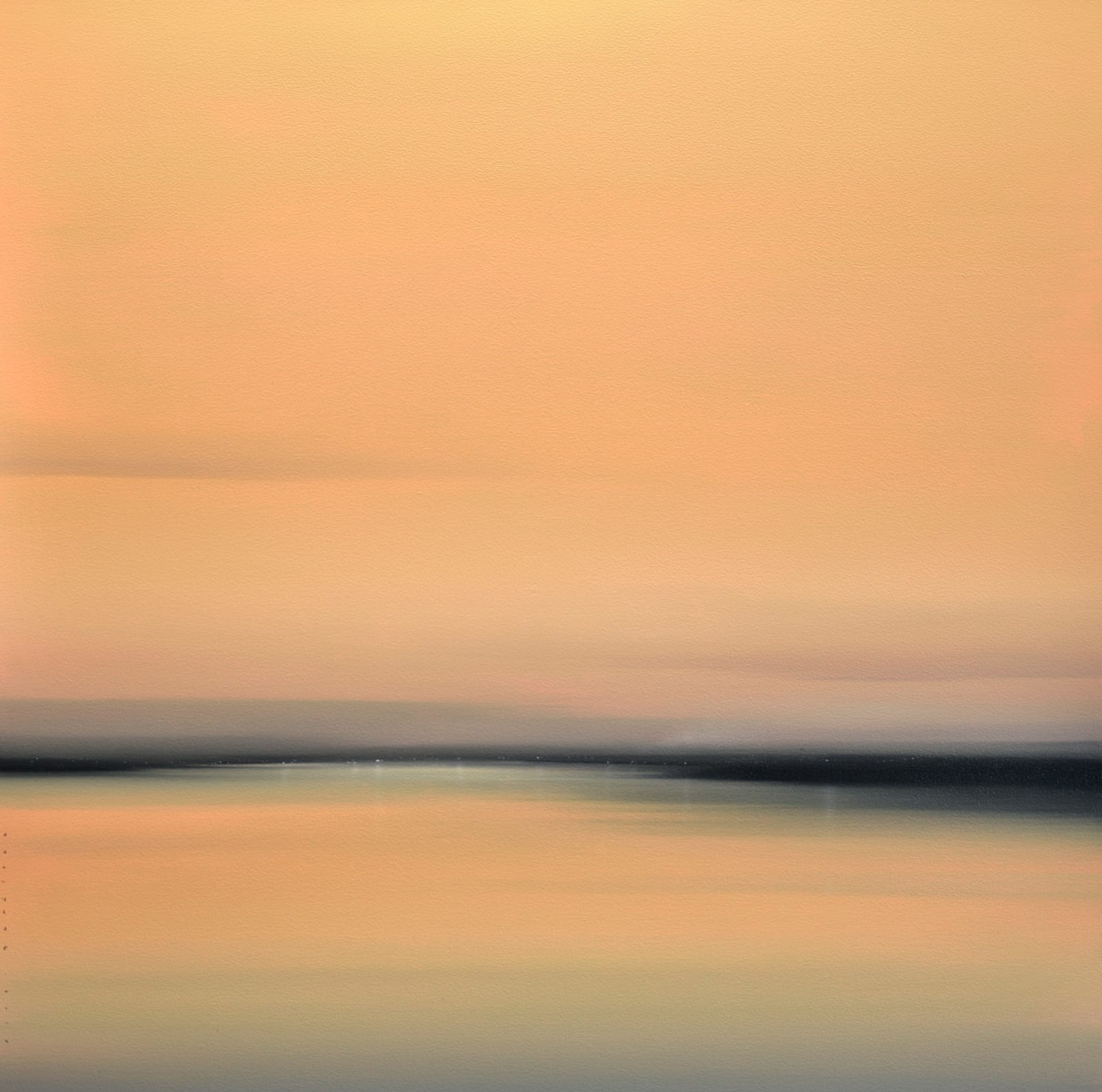 DIEGO BENÉITEZ, ARMONÍA, 2020