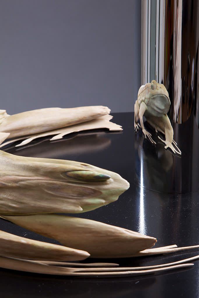 JONTY HURWITZ, KISS OF CHYTRID, 2017