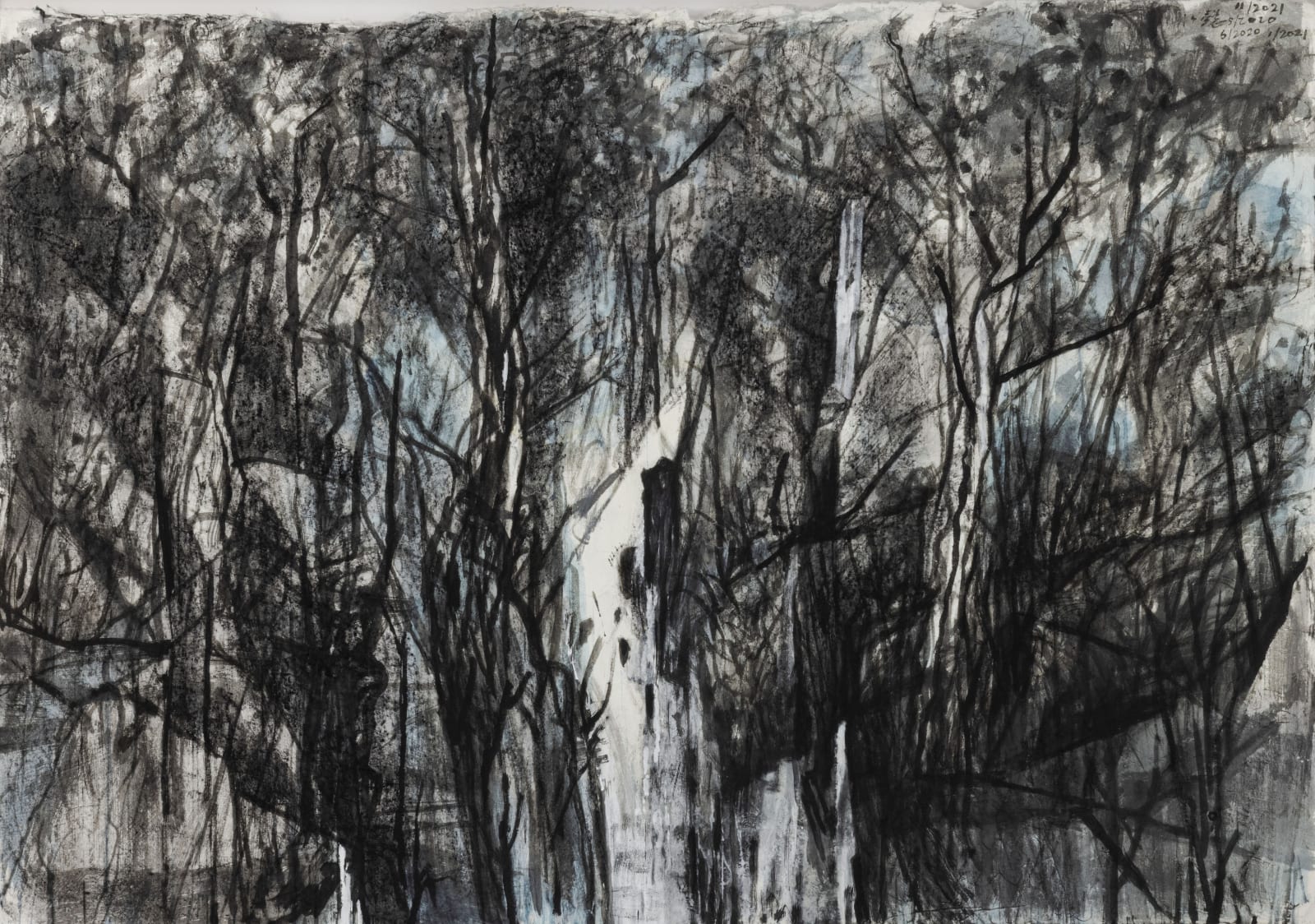 Learning the Language of Trees Ancient Ink, Watercolor and Charcoal Stick on Suzhou Pi Xuan Paper 149 x 212 cm, 2020-2021