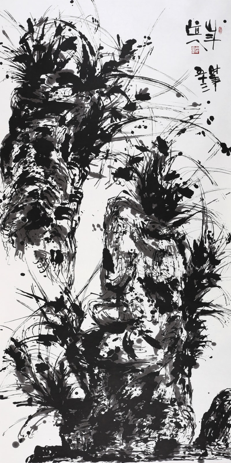 Orchid 1, 2010