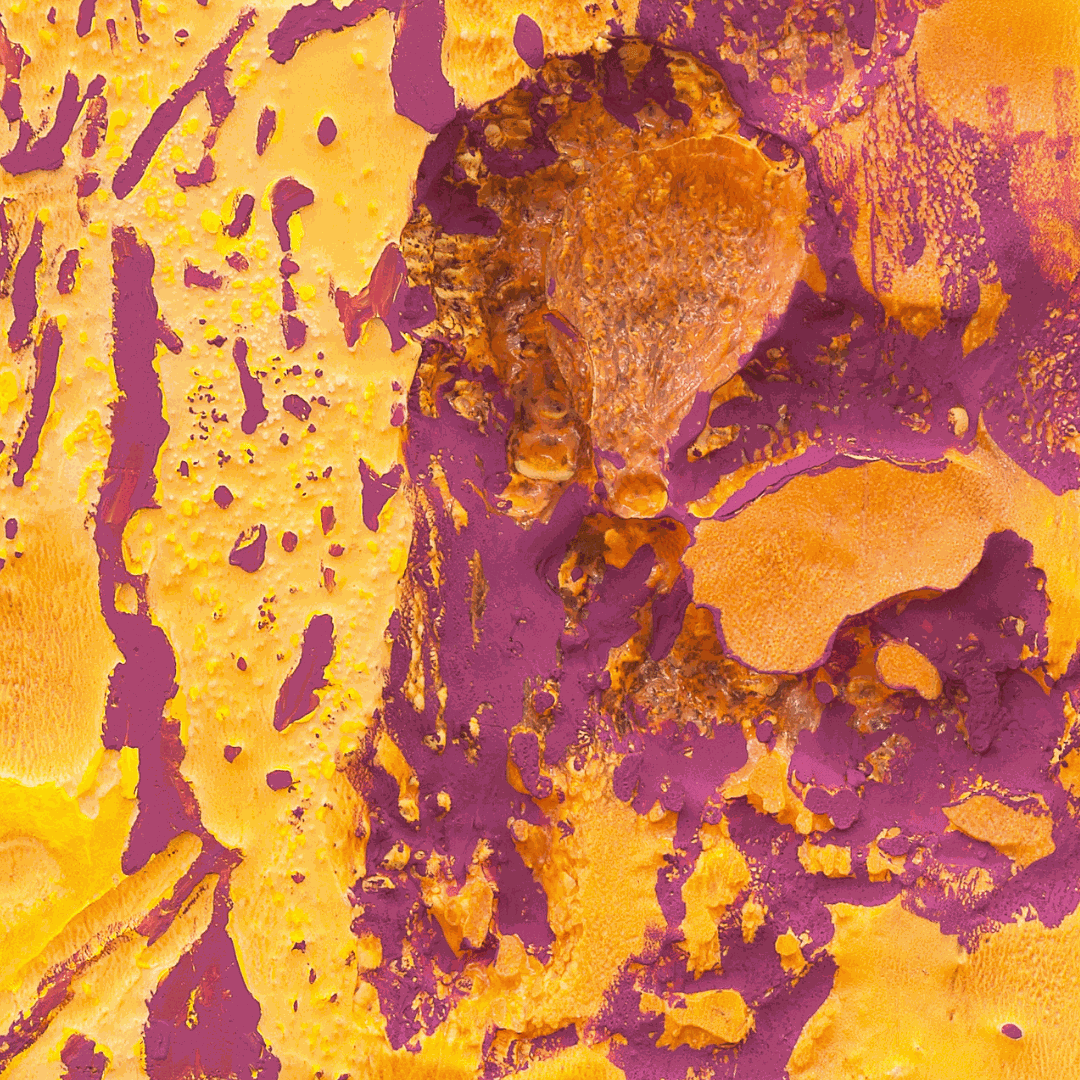 Anita MOLINERO, « Croûûûte criarde » (saison rose), 2016 (détail) ©Courtesy Galerie Christophe Gaillard