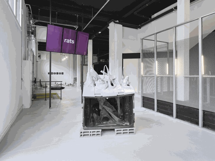 Vue de l’exposition Pionnières, Zoo galerie, Nantes, 2022© Philippe Piron — Zoo galerie