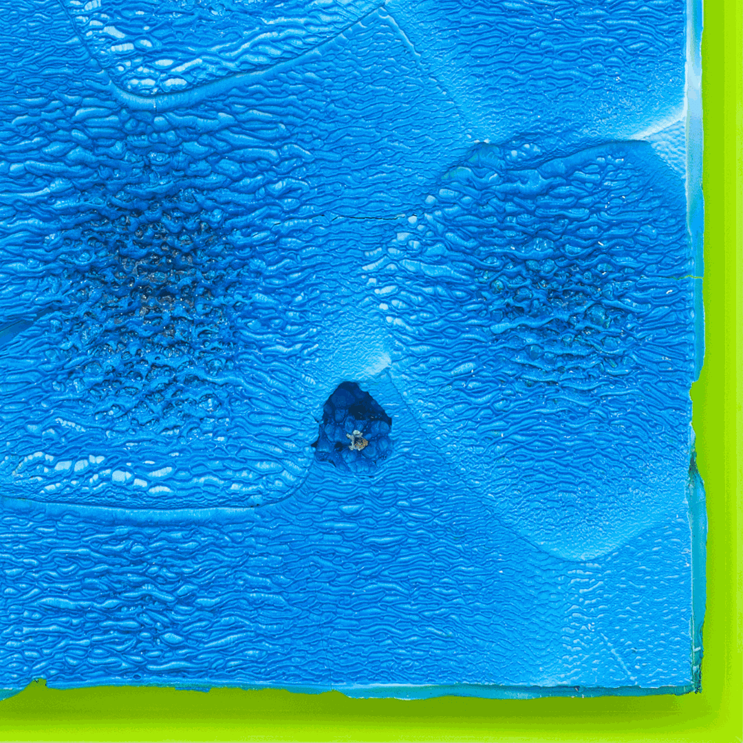 Anita MOLINERO, « Croûûûte criarde » (saison bleue), 2016 (détail) ©Courtesy Galerie Christophe Gaillard