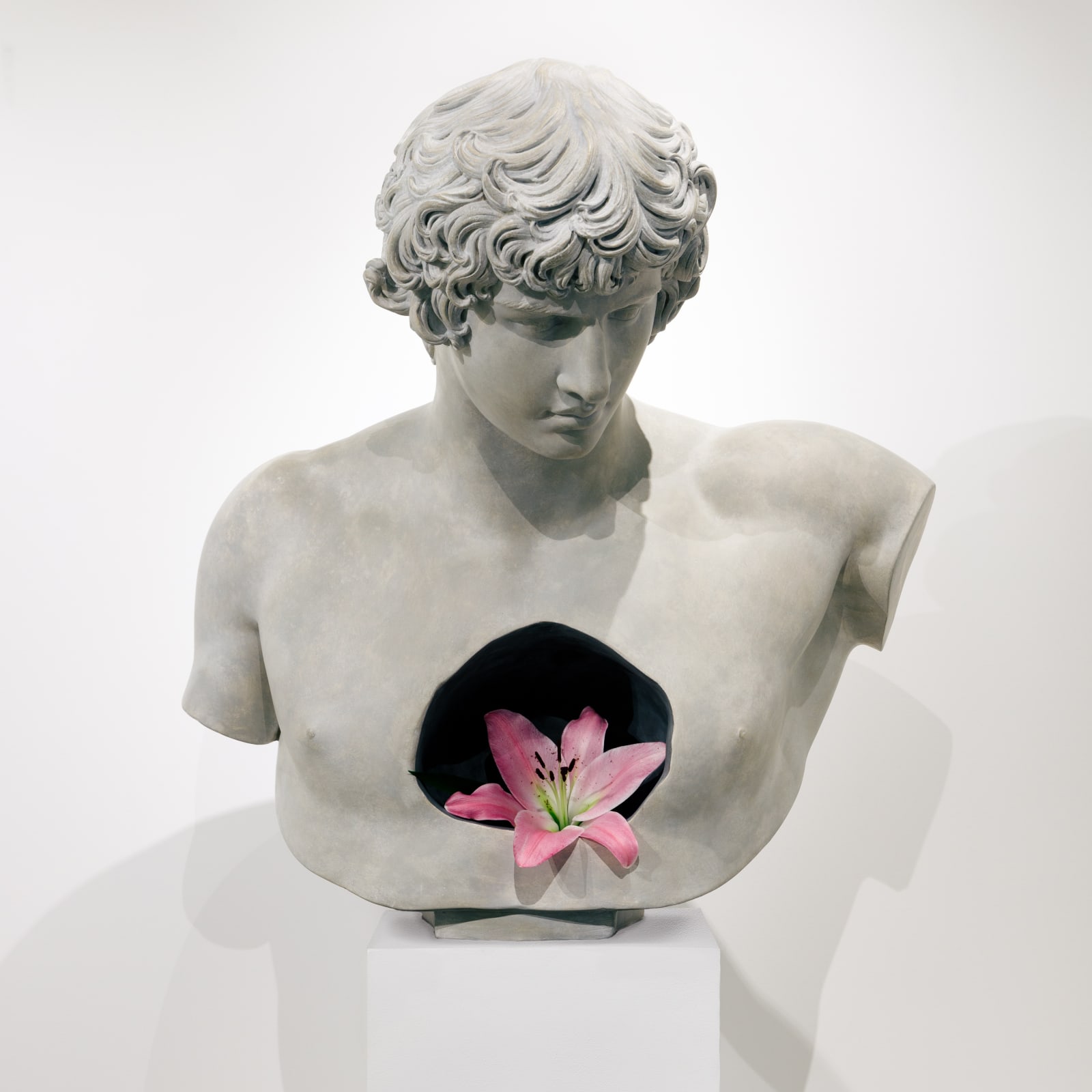 Laurent Pernot, The Everlasting Nature of Heart, 2021
