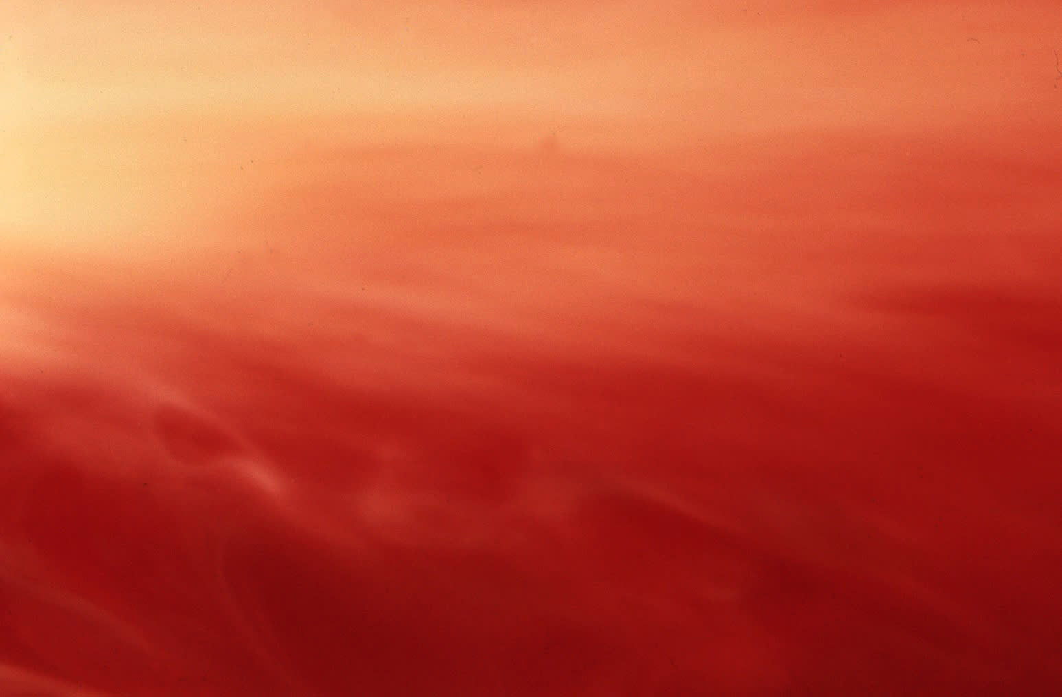 Andres Serrano, Bloodscape X (Bodily Fluids), 1989