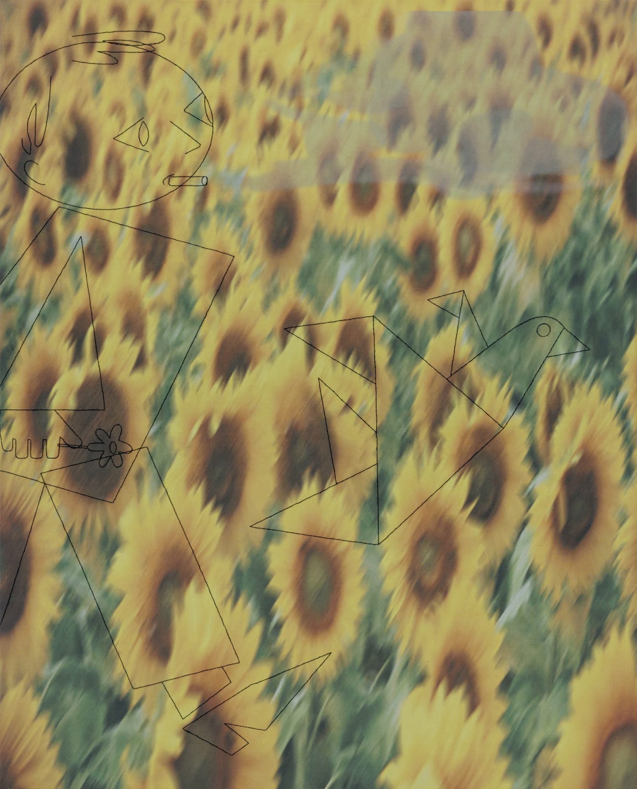 Hoda Kashiha, Just for a second Heaven unveiled itself The sun returned to flowers And the bright guilty word was invented: Sunflower, 2023